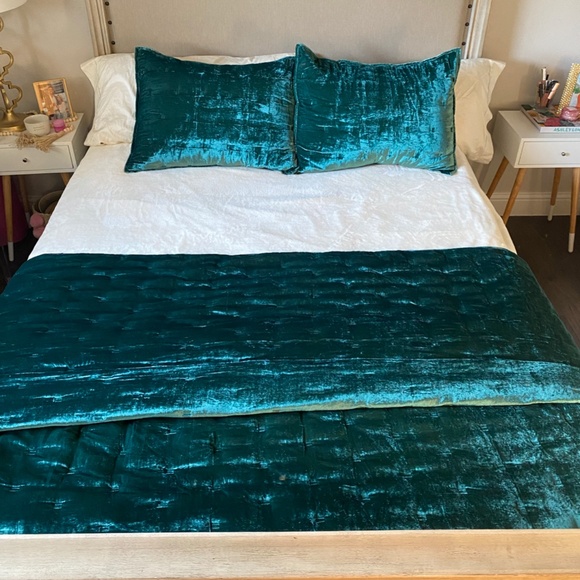 West Elm Other - West Elm Velvet Quilt + Shams (Botanical Garden)